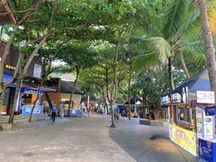 -海南分界洲岛旅游区