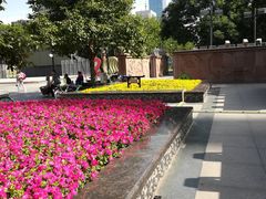 -唐城墙遗址公园
