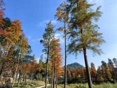 -广州市石门国家森林公园