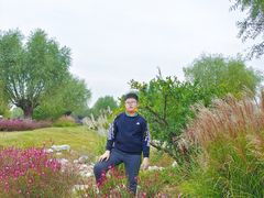 -汉长安城未央宫国家考古遗址公园