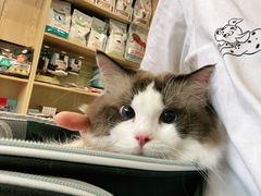 -中农大我爱我爱动物医院·核磁CT·猫病·24小时夜诊中心(石佛营店)