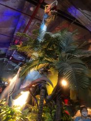 -恐龙探索乐园(磁器口店)