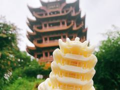 -武汉知音号