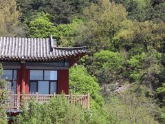 -泰山风景名胜区