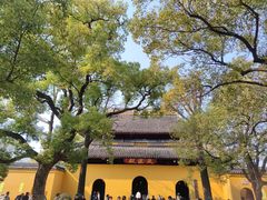 -西园戒幢律寺