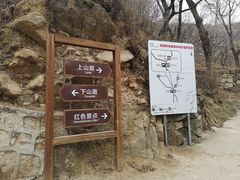 -大岭沟猕猴桃谷风景区