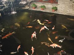 -顺德了能馆(虎门店)