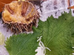 -宁喜屋 日式居酒屋(宝信·城市广场店)