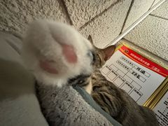 -逃脱反斗城沉浸剧情密室(北京路店)