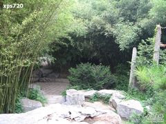 -紫竹院公园冰场