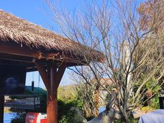 -七彩云南古滇温泉山庄