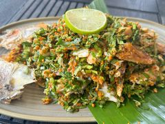 -Ameigo梅果·云贵川bistro(长宁来福士店)