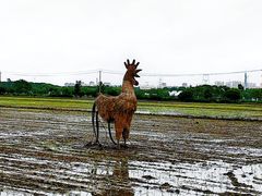 -嘉北郊野公园