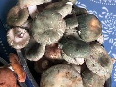 -嘉里饭庄