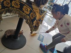 -平行世界·猫咖(首经贸店)
