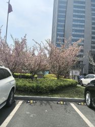 -上海华美医疗美容医院