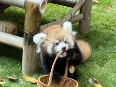 -常州淹城野生动物世界