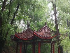 -云岗森林公园