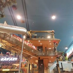 -卡通尼·Safari非洲探索乐园·生日会(金桥国际商业广场店)