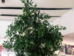 -夏日玛莉西餐厅(梅溪湖步步高店)