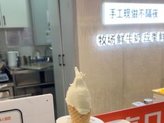-野人先生现做冰淇淋(西安赛格店)