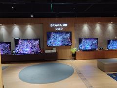 -Sony Store索尼(广州正佳店)