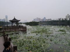 -南宁南湖公园