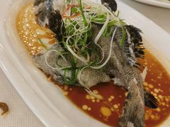 清蒸龙趸石斑鱼-顺峰(阜成店)