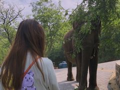 -大连森林动物园