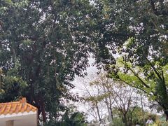 -人民公园(罗湖区)