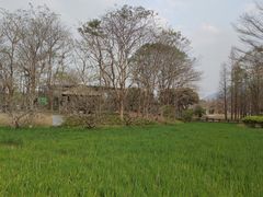 -佛冈森波拉度假区