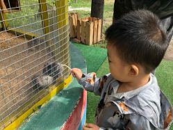 -萌宠亲子动物乐园(槐房万达店)