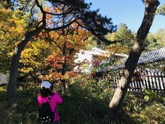 -阳台山自然风景区