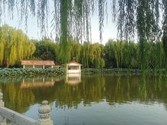 -丰台花园