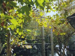 -大光明丽星VIP影城(昌里路杜比全景声店)