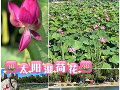 -太阳宫公园