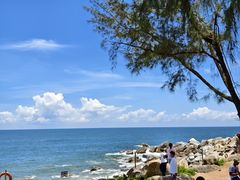 -广东惠东海龟国家级自然保护区