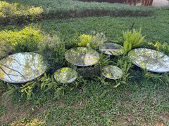 -云溪植物园