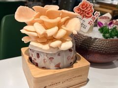 -烹然四季椰子鸡火锅(姚家园万象汇店)