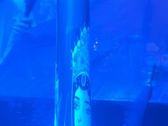-PAPAYA CLUB 酒吧(深圳旗舰店)