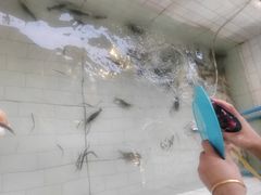 -芭提雅Amporn Seafood自助餐厅