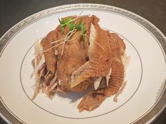 -阿五黄河大鲤鱼(纬三路店)