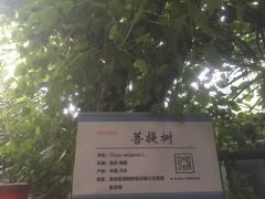 -呀路古热带植物园