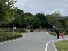-飞凤山奥体公园