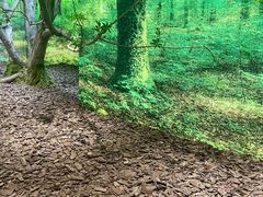 -极简口腔(总院)