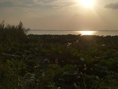 -阳澄湖费尔蒙酒店