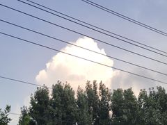 -比干庙景区
