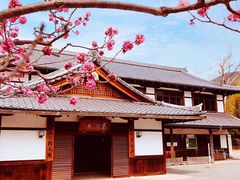 -醍醐寺