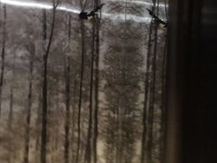 -杭州逸设计师酒店(武林广场店)