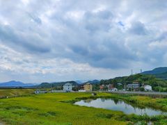 -四明山国家森林公园